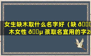 女生缺木取什么名字好（缺 🐘 木女性 🌵 孩取名宜用的字2020年）